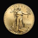1 oz American Gold Eagle coin obverse — Lady Liberty design
