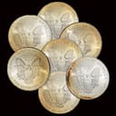 Group of cull 1 oz American Silver Eagle reverses showing toning and spotting across the eagle design