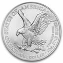 1 oz American Silver Eagle reverse — eagle in flight