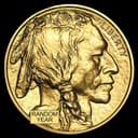 1 oz American Gold Buffalo coin obverse — Native American design