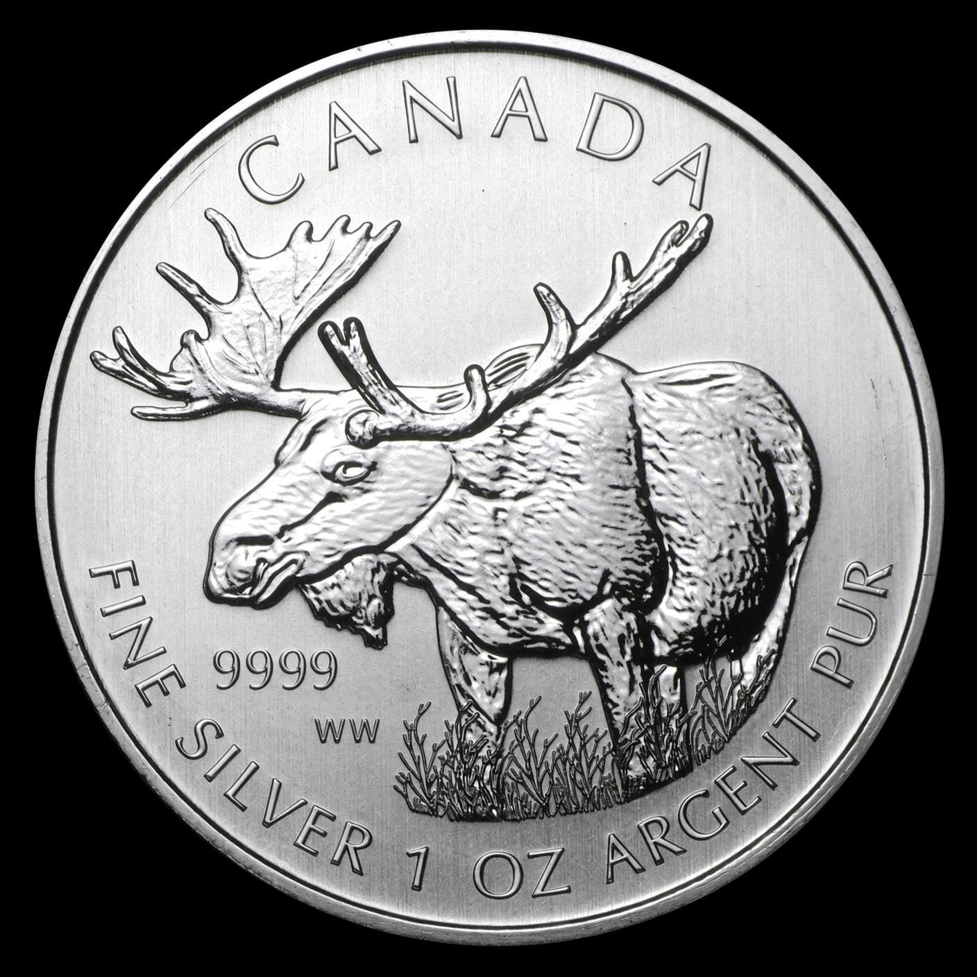 2012 Canada 1 oz silver Wildlife Series Moose coin reverse showing a bull moose standing in brush